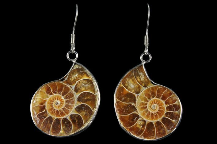 Fossil Ammonite Earrings #112234